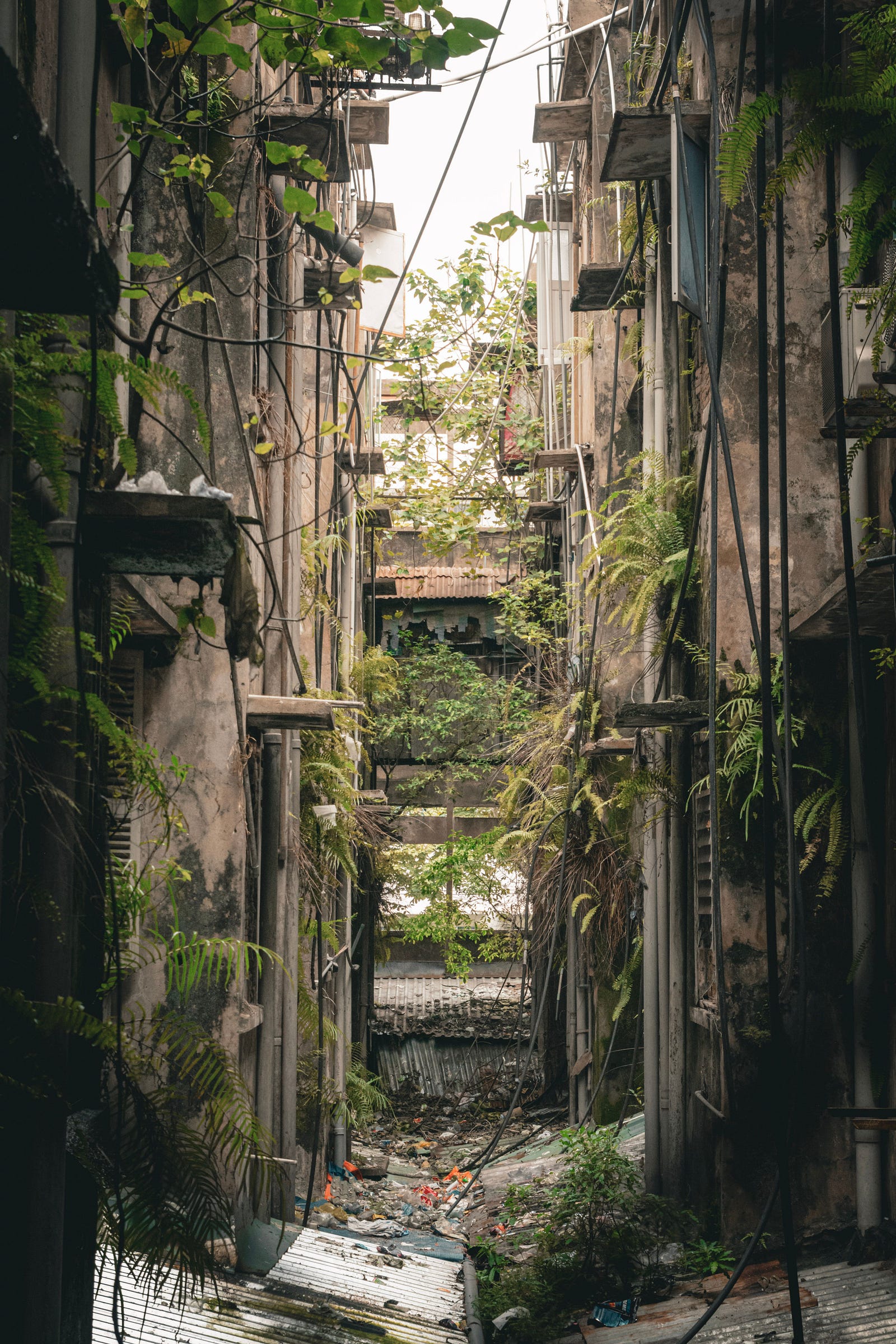 The Field / 12: Convenience Erodes Agency